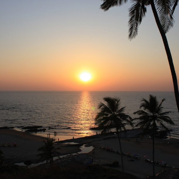 Things To Do In Goa