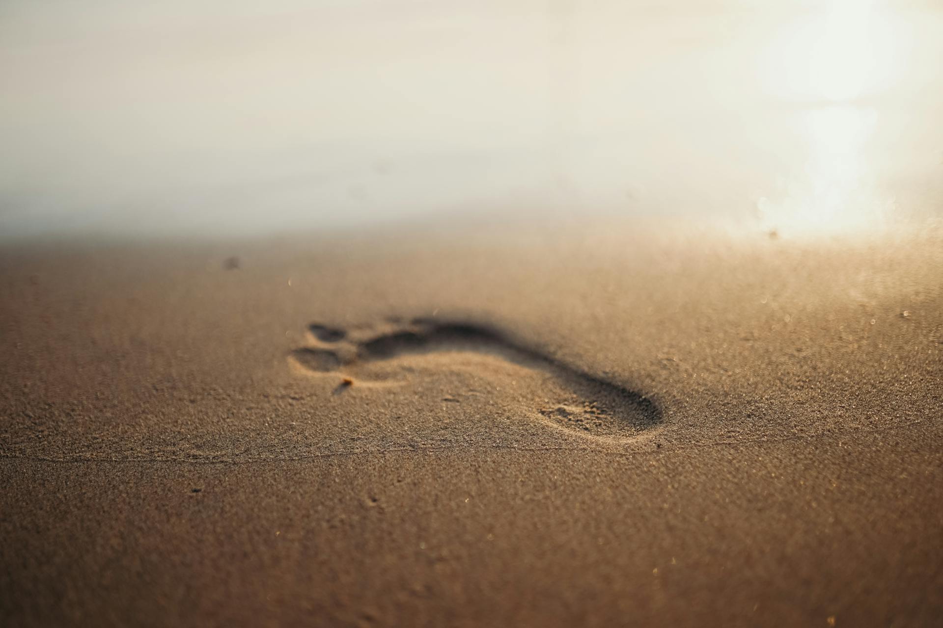 Things To Do In Goa In February